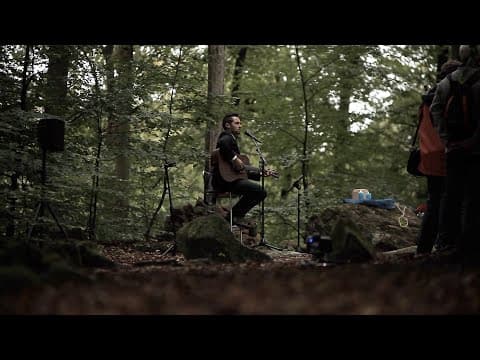 Pigs on the wing Pink Floyd Unplugged im Friedwald Niederhausen Trauerfeier mit Livemusik - Notenstrauss Live Performance