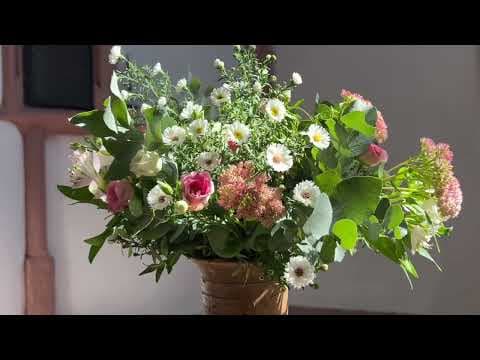 Wo Menschen sich vergessen | Lieder zum kirchlich Heiraten | GL 832 | Himmel und Erde | - Notenstrauss Live Performance