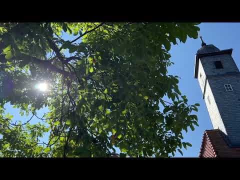 Singt Gott unserm Herrn EG582 | Gemeindelied zur Hochzeit | Evangelisch Heiraten - Notenstrauss Live Performance