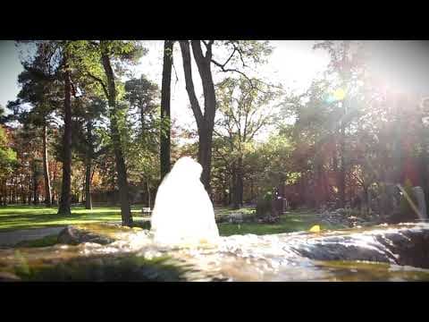 Ins Wasser fällt ein Stein  Gemeindelied  Friedhof Kaiserslautern  Beerdigung Musiker - Notenstrauss Live Performance