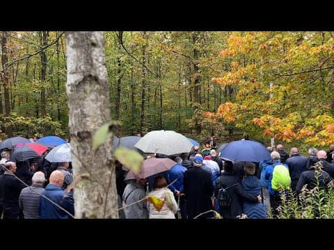 Country Roads | Lieblingslieder zum Abschied | Live im Friedwald Musiker Dudenhofen Dergem Kibo - Notenstrauss Live Performance